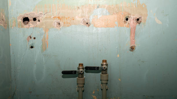 Best Water damage restoration near me  in Casselton, ND