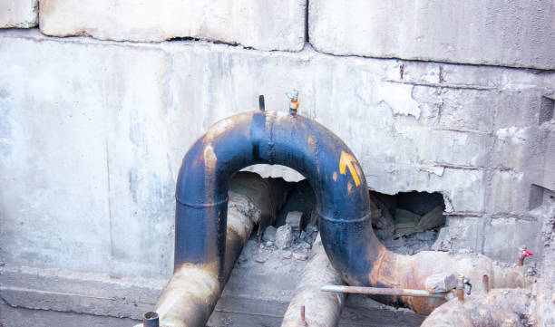 Best Water damage cleanup near me  in Casselton, ND