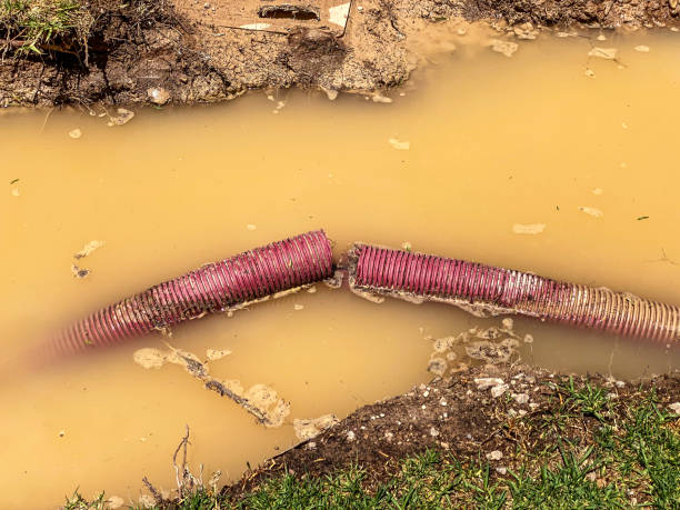Best Professional water damage repair  in Casselton, ND